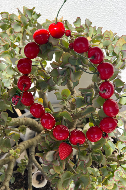 Colar Cerejas